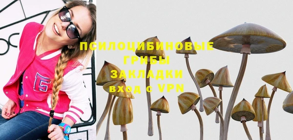 мескалин Алексеевка