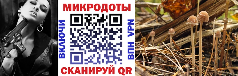 MEGA ссылка  Ялта  Галлюциногенные грибы Psilocybe 